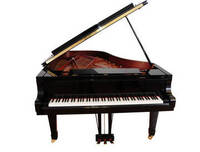 Immagine: Civica scuola musicale Riccardo Zandonai