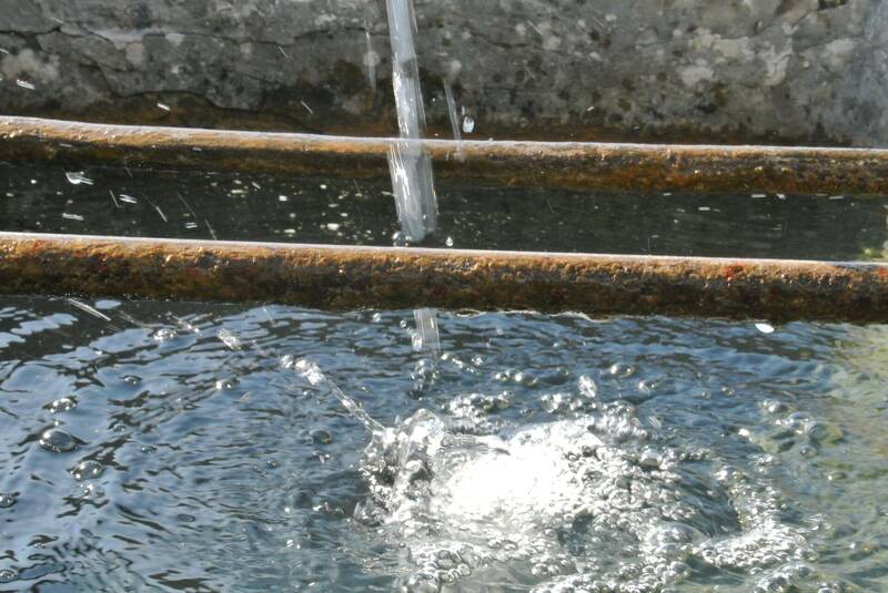 Ufficio ambiente e transizione ecologica