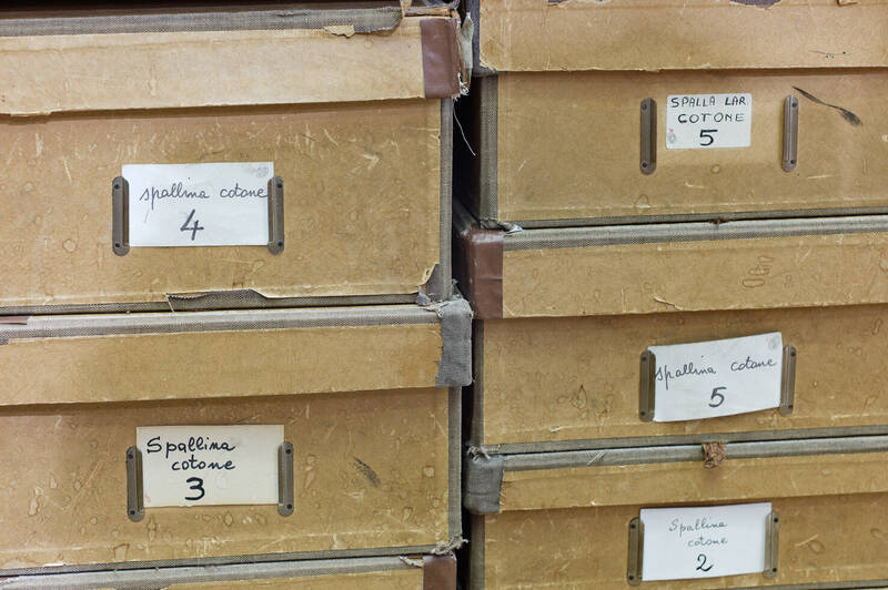 Braccini abbigliamento