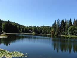 Anche quest'anno riparte “Estate anziani”