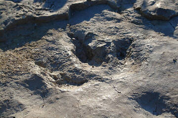 Finanziato il rinnovo della pannellistica informativa alle orme dei dinosauri 