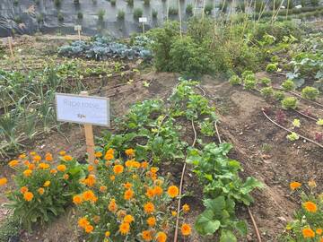 Orto San Marco selezionato tra i migliori progetti trasformativi di rigenerazione urbana