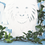 Immagine: Progetto Distretto San Marco